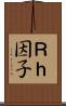 Ｒｈ因子 Scroll