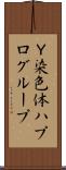 Ｙ染色体ハプログループ Scroll