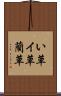 い草 Scroll