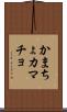かまちょ Scroll