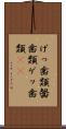 げっ歯類 Scroll