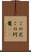 この尼 Scroll