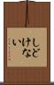 しどけない Scroll