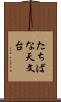 たちばな天文台 Scroll