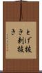とげ抜き Scroll