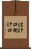 はけ口 Scroll