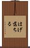 はげ落ちる Scroll