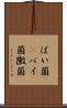 ばい菌(P) Scroll