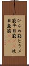 ひらめ筋 Scroll