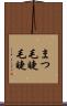 まつ毛 Scroll