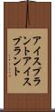 アイスプラント Scroll