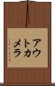 アウトカメラ Scroll