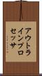 アウトライン・プロセッサ Scroll