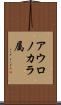 アウロノカラ属 Scroll