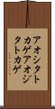 アオシタトカゲ Scroll