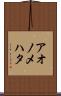 アオノメハタ Scroll