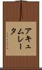 アキュムレータ Scroll