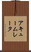 アキュームレータ Scroll