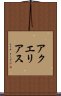 アクエリアス Scroll