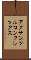 アクサンツルコンフレックス Scroll