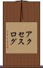アクセスログ Scroll