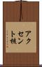 アクセント核 Scroll