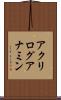 アクリログアナミン Scroll
