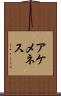 アケメネス Scroll