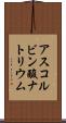 アスコルビン酸ナトリウム Scroll