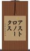 アストロノータス Scroll