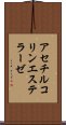 アセチルコリンエステラーゼ Scroll