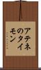 アテネのタイモン Scroll