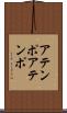アテンポ Scroll