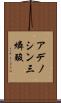 アデノシン三燐酸 Scroll