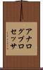 アナログプロセッサ Scroll