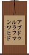 アブドゥルラフマンワヒド Scroll