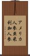 アメリカ人参 Scroll