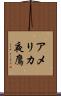 アメリカ夜鷹 Scroll