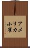 アメリカ小雀 Scroll