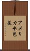 アメリカ水芭蕉 Scroll