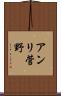 アンリ菅野 Scroll