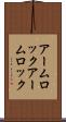 アームロック Scroll