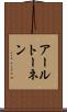 アールトーネン Scroll