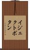 イジェクトボタン Scroll