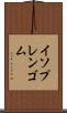イソプレンゴム Scroll