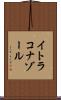 イトラコナゾール Scroll