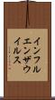 インフルエンザウイルス Scroll