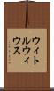 ウィトルウィウス Scroll