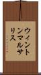 ウィントンマルサリス Scroll