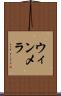 ウィンメラ Scroll